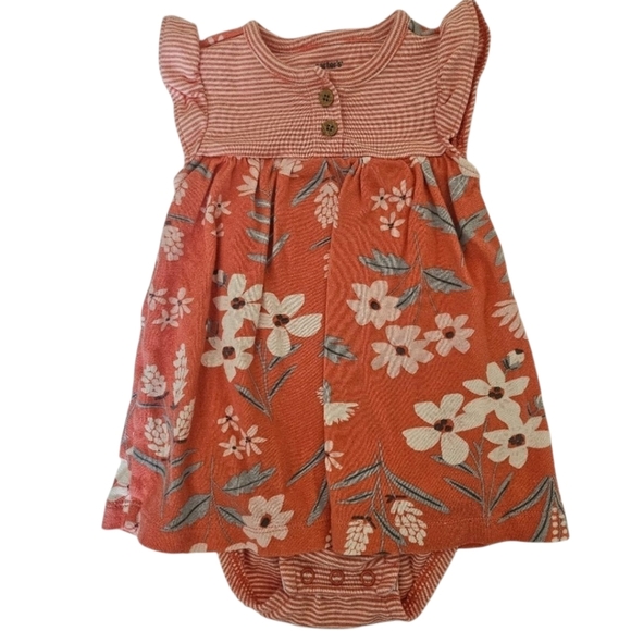 Carter' Baby Girl Pink Stripe/Floral Cotton Bodysuit Dress, Size 6m - Picture 1 of 7